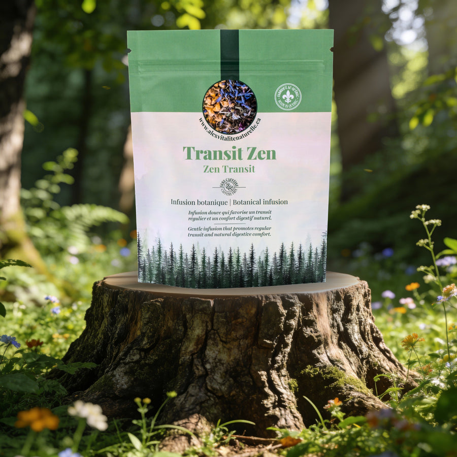 Transit Zen