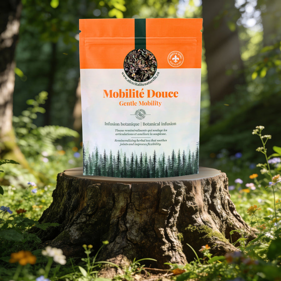 Mobilité Douce